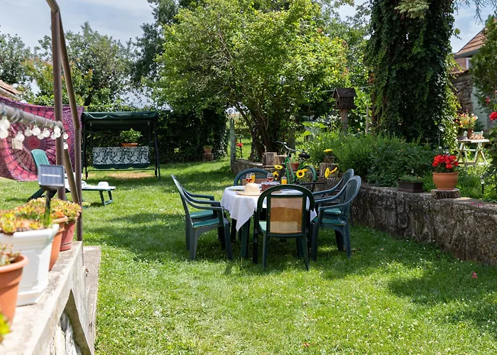 Napraforgo Vendeghaz Tótvázsony
