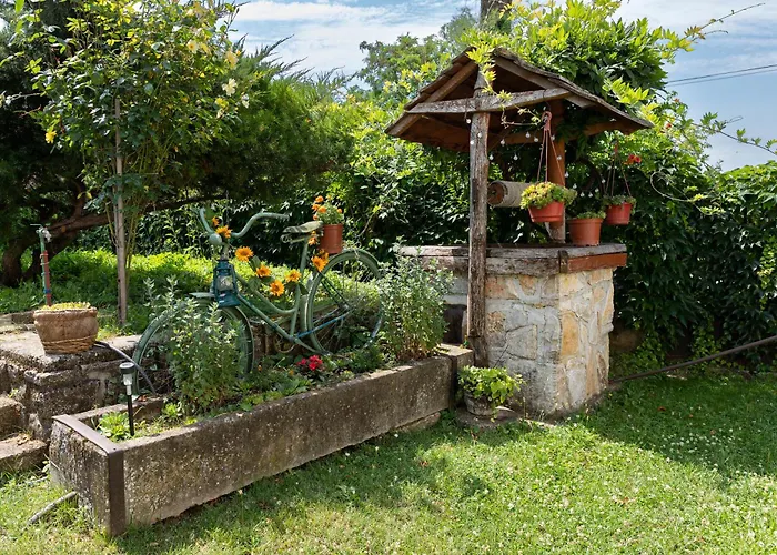 Napraforgo Vendeghaz